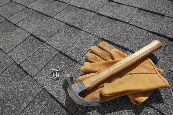 Contact Roofing Expert